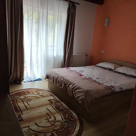 Casa Negru Voda Holiday home *