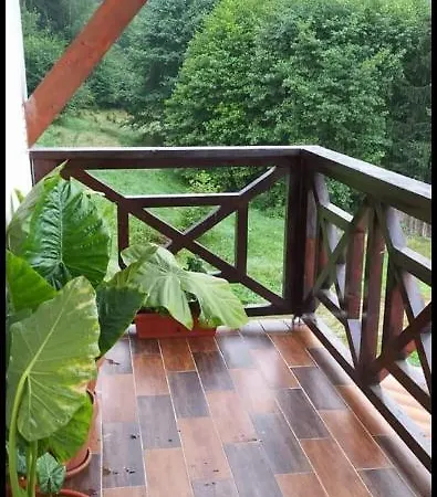 Casa Negru Voda Breaza (Brasov)